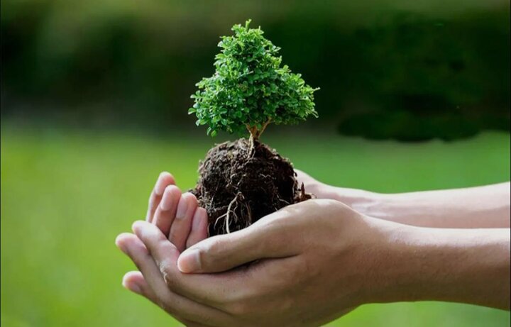 طبیعت، قربانی بی‌صدای جنگ