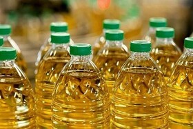 وقتی دیوان‌سالاری سد راه تولید می‌شود؛ روایت یک کارخانه روغن‌کشی از فرصت‌های از دست‌رفته دانه‌های روغنی
