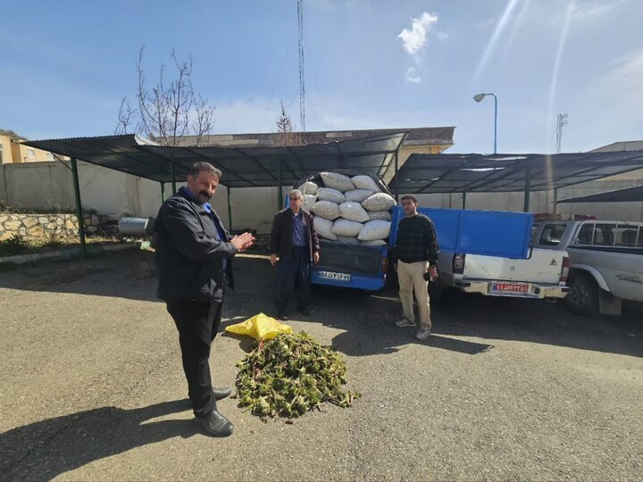 کشف ۲تن کنگر کوهی قاچاق در محور کولان؛ محموله با حکم قضائی به فروش رسید