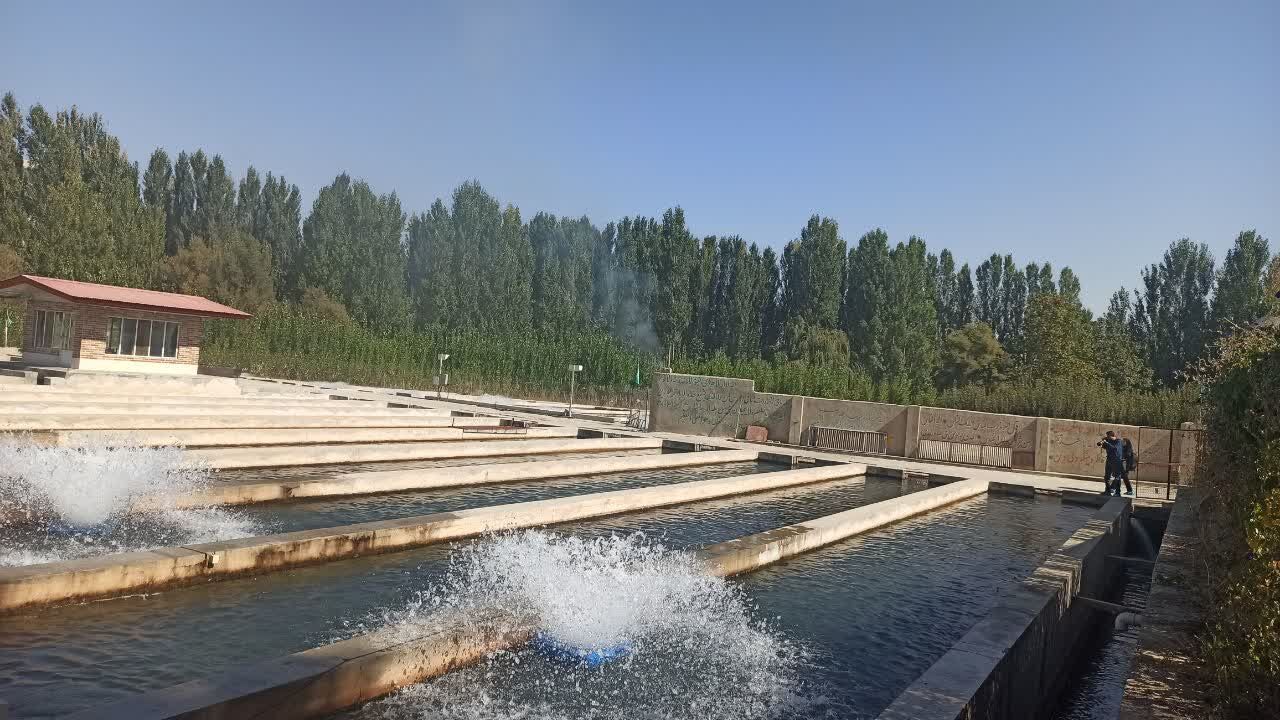 نهاوند؛ پیشران جهش تولید و خودکفایی در صنعت شیلات