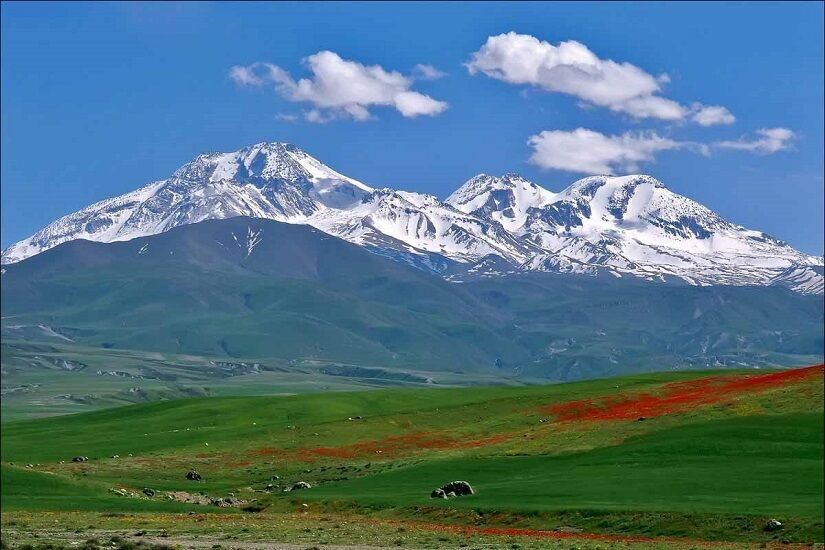 صیانت از شاهو و کوسالان نیازمند ورود جدی دستگاه قضائی است