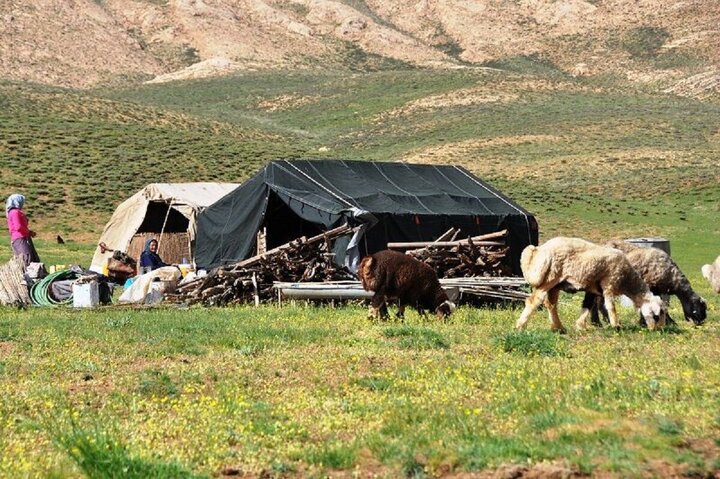 ورود عشایر به همدان آغاز شد