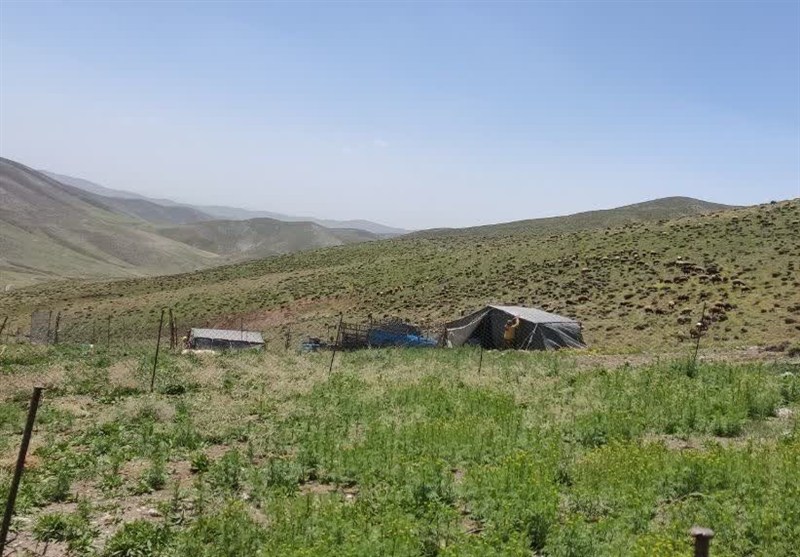 عزم راسخ منابع طبیعی و آبخیزداری ملایر برای حفظ حریم مراتع