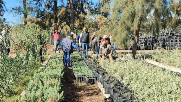 سم‌پاشی گسترده اراضی لبنان با گیلفوسات توسط اسرائیل