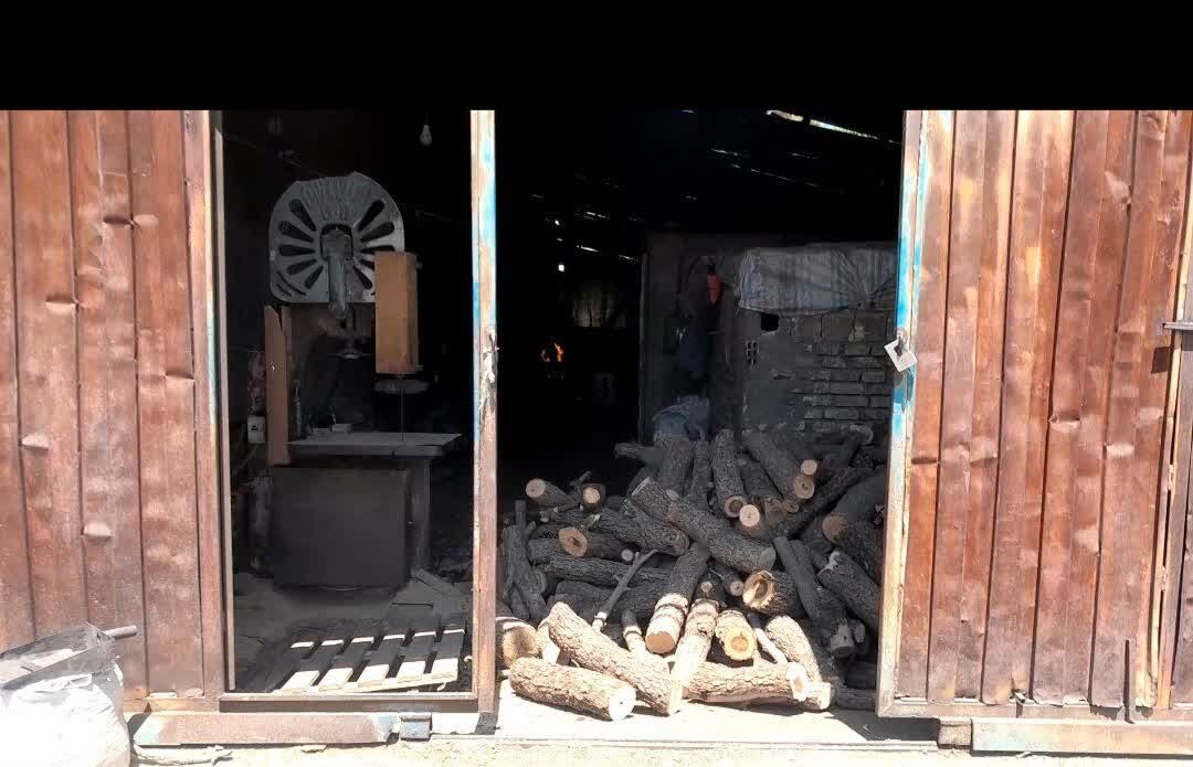 کشف و توقیف 2.3 تن چوب بلوط جنگلی در کرمانشاه