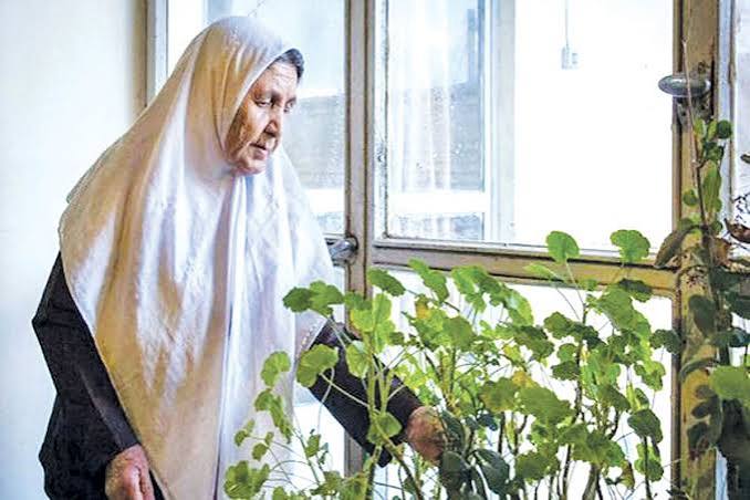تجرد در سالمندی پیامد تحولات جمعیتی و اجتماعی