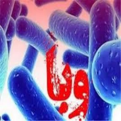 ‌کاهش «وبا» در همدان