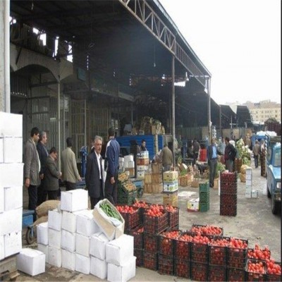 پروژه میدان‌ میوه‌ و تره‌بار همدان با حکم قانون درحال اجرا است
