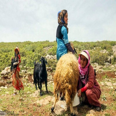 قائم مقام وزیر میراث: شبکه بین‌المللی برای زنان حامل میراث فرهنگی ناملموس ایجاد می‌شود