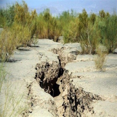 10 هزار هکتار از اراضی کبودراهنگ در معرض بیابان‌زایی است