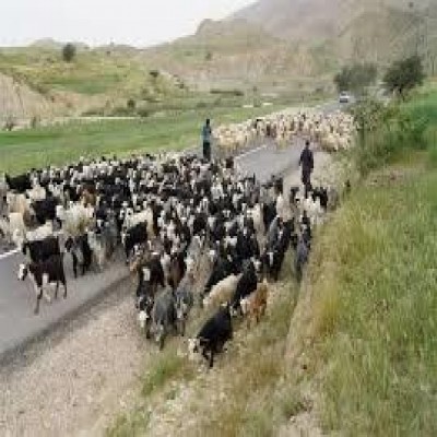 «بازسازی ایل‌راه‌ها»، اولویت اداره کل امور عشایر استان همدان