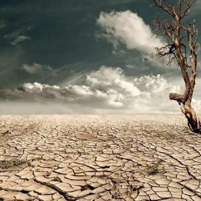 ظرفیت مغفول مسئولیت اجتماعی شرکت‌ها در حفاظت از منابع آب و خاک