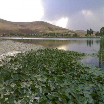 سراب نیلوفر شرایط خوبی دارد/ پیگیر بازسازی استخر روباز مجموعه هستیم