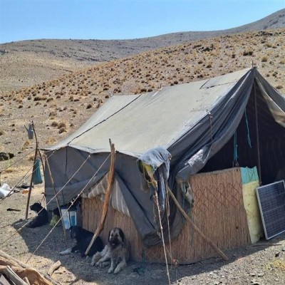 اخطار خروج به عشایری که غیر قانونی در مراتع ملایر استقرار یافتند