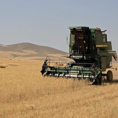 شروع خرید تضمینی گندم در دیواندره
