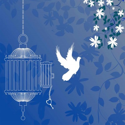 فرشی که آزادی یک زندانی را در همدان رقم زد