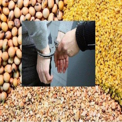 دو روایت متناقض از تخلف 45 هزار میلیارد تومانی نهاده دامی