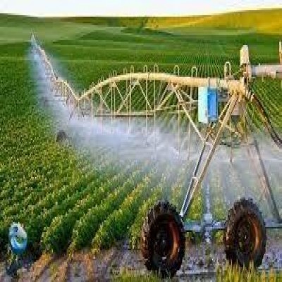 کشت و صنعت؛ راهکاری برای پایداری کشاورزی همدان در بحران آب